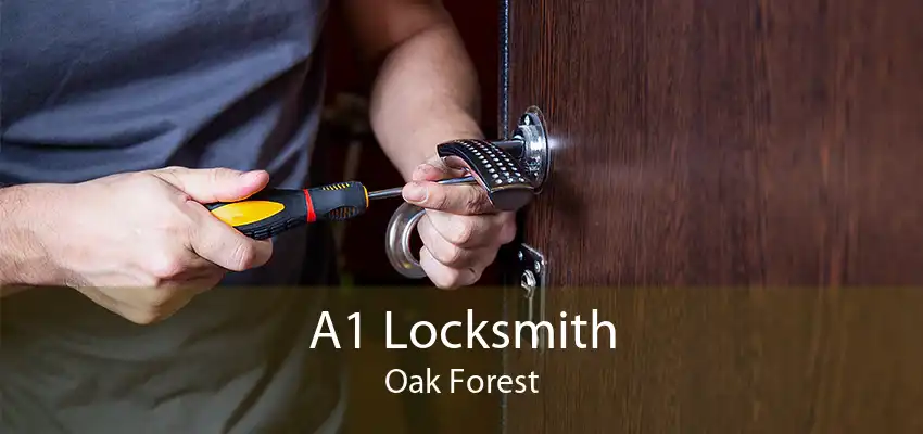 A1 Locksmith Oak Forest