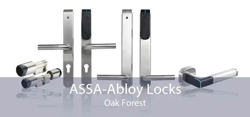 ASSA-Abloy Locks Oak Forest