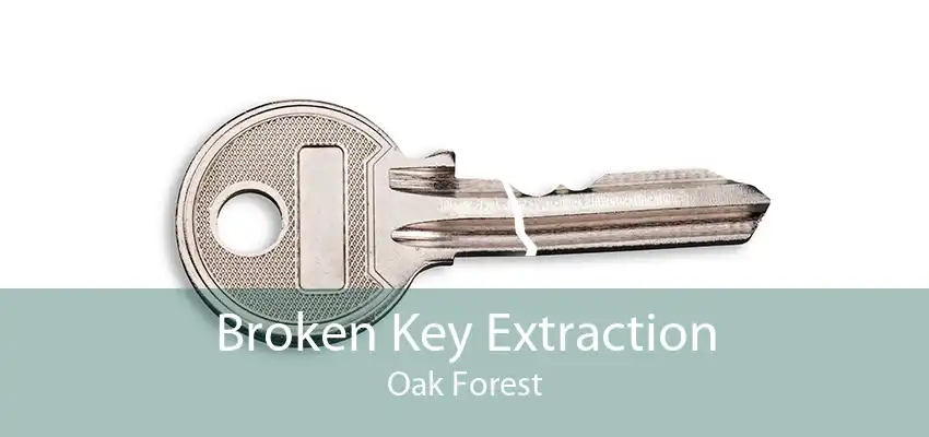 Broken Key Extraction Oak Forest