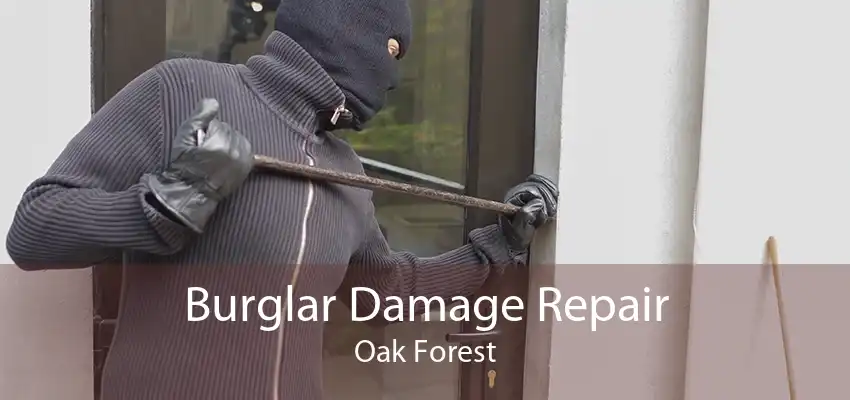 Burglar Damage Repair Oak Forest