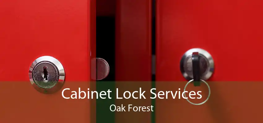 Cabinet Lock Services Oak Forest