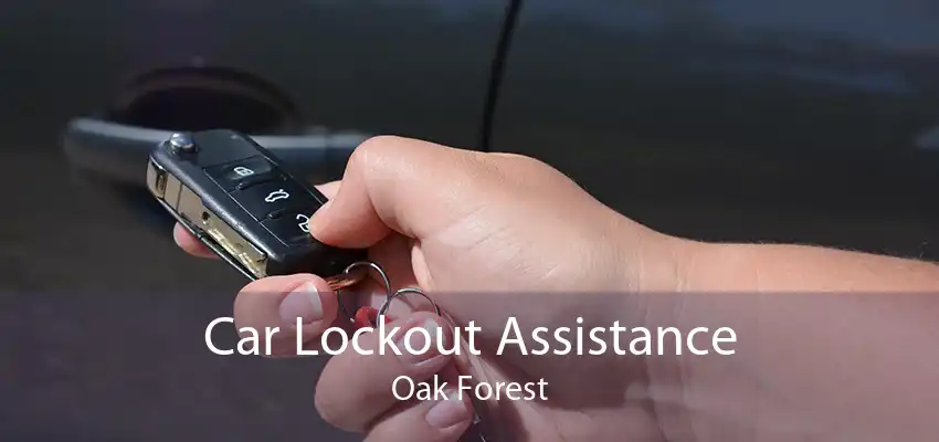Car Lockout Assistance Oak Forest