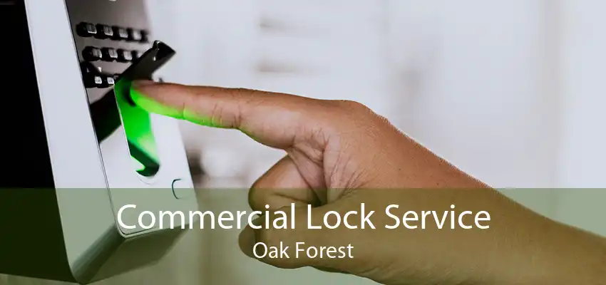 Commercial Lock Service Oak Forest