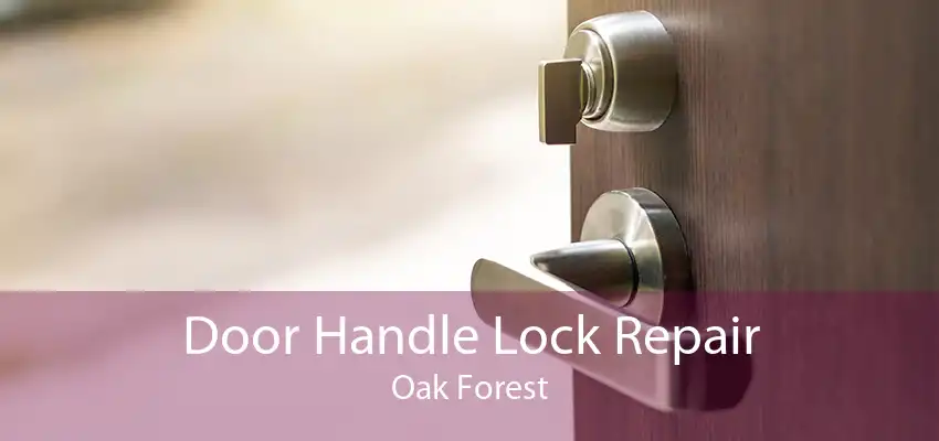 Door Handle Lock Repair Oak Forest