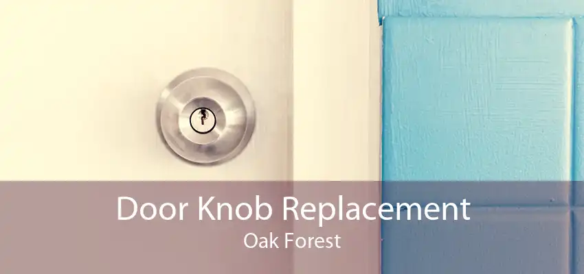 Door Knob Replacement Oak Forest