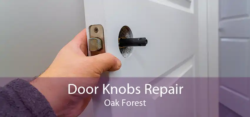 Door Knobs Repair Oak Forest