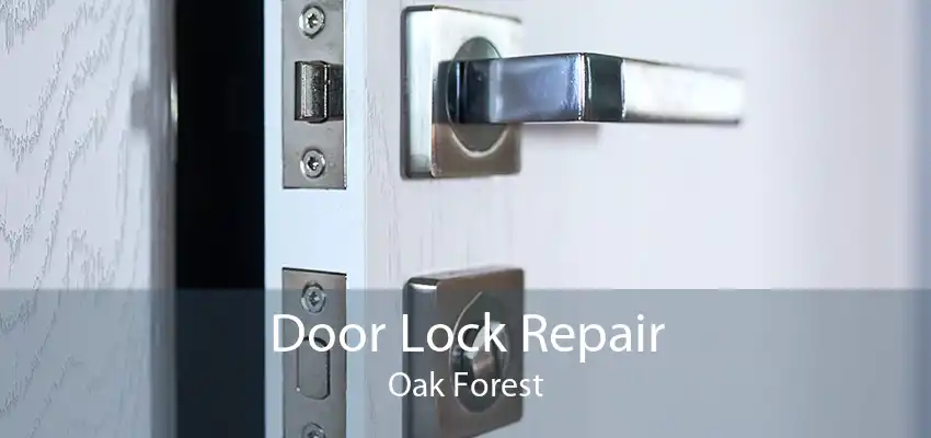 Door Lock Repair Oak Forest