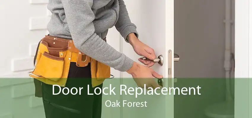 Door Lock Replacement Oak Forest