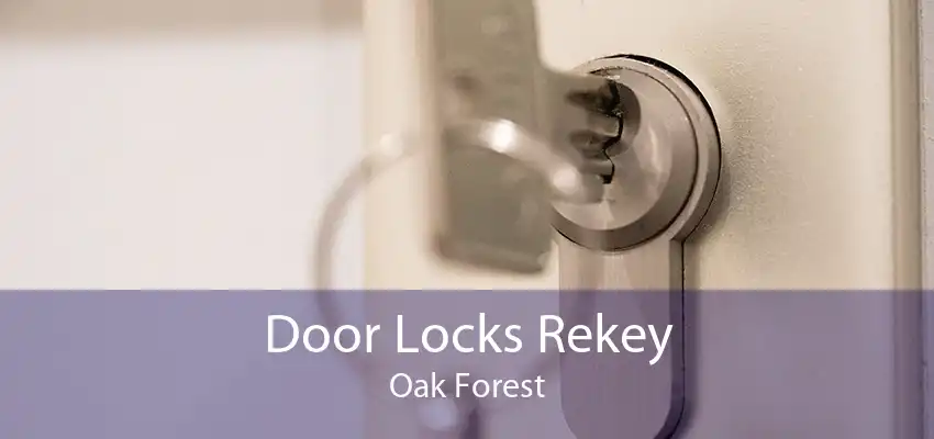 Door Locks Rekey Oak Forest