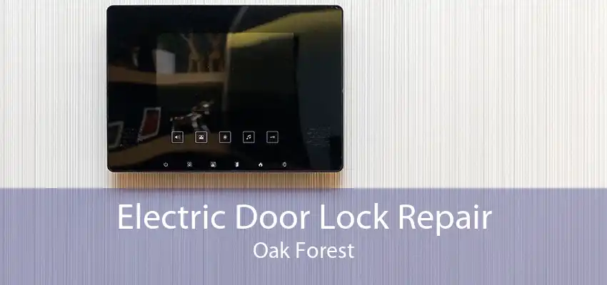 Electric Door Lock Repair Oak Forest