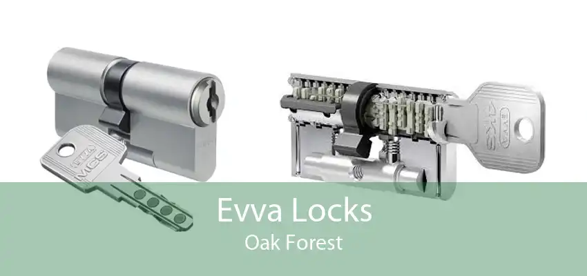 Evva Locks Oak Forest