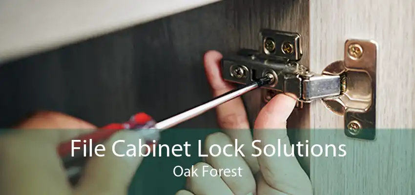 File Cabinet Lock Solutions Oak Forest
