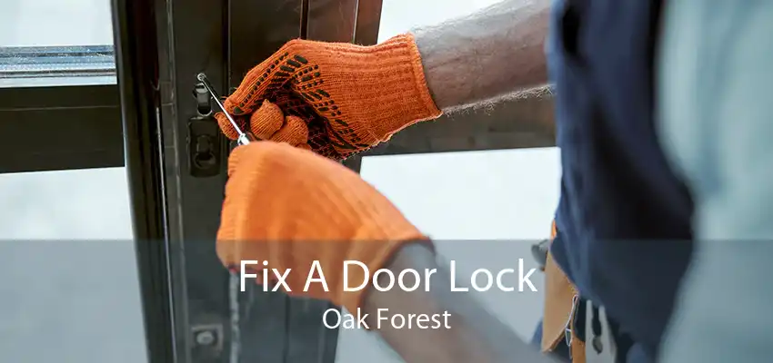 Fix A Door Lock Oak Forest