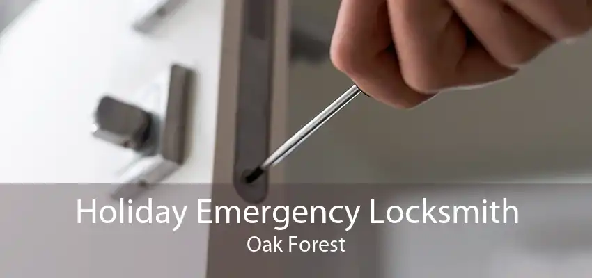 Holiday Emergency Locksmith Oak Forest