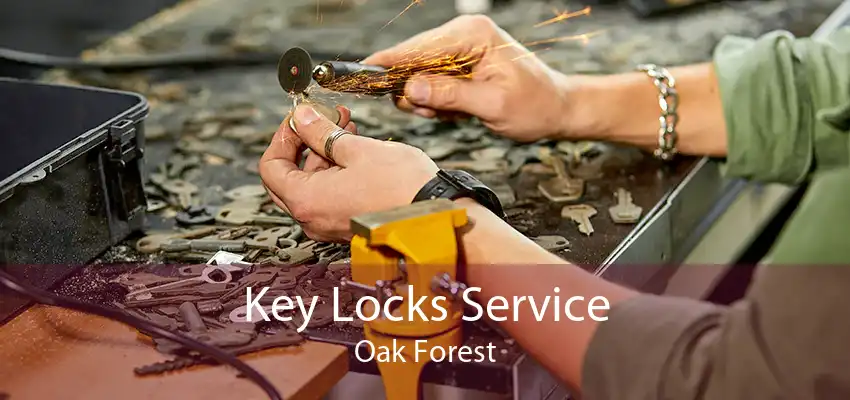Key Locks Service Oak Forest