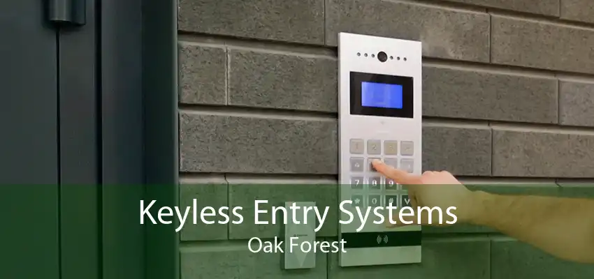 Keyless Entry Systems Oak Forest