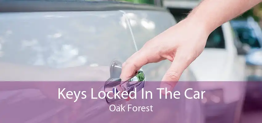 Keys Locked In The Car Oak Forest