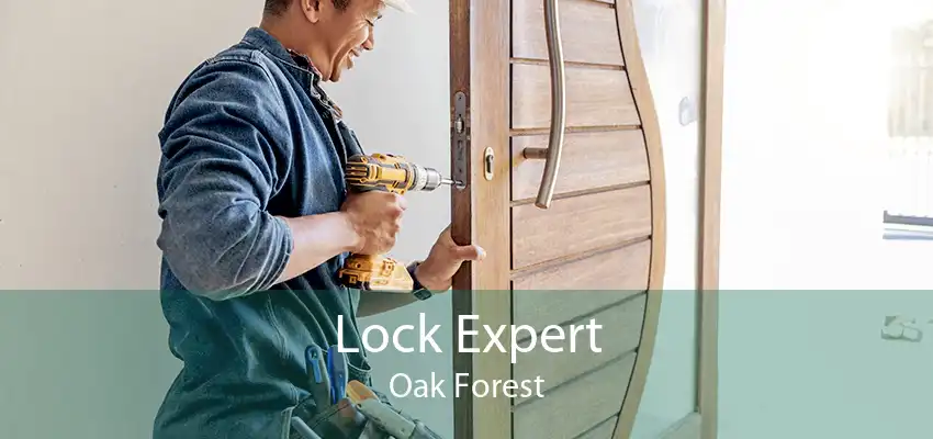 Lock Expert Oak Forest