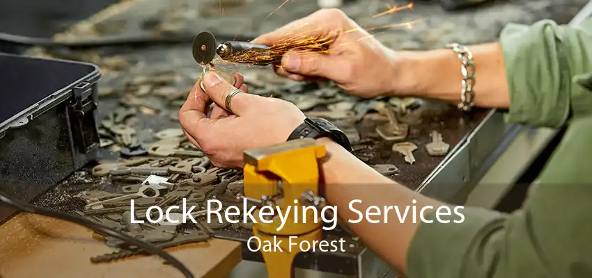 Lock Rekeying Services Oak Forest
