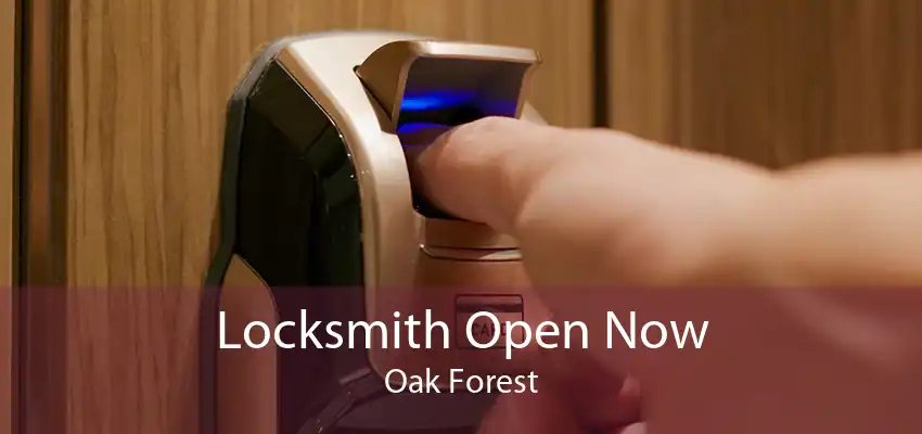 Locksmith Open Now Oak Forest