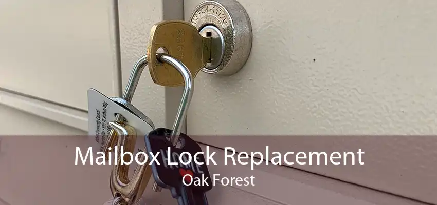 Mailbox Lock Replacement Oak Forest