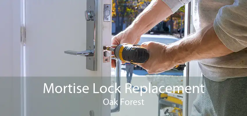 Mortise Lock Replacement Oak Forest