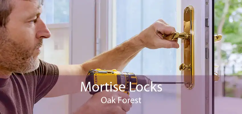 Mortise Locks Oak Forest