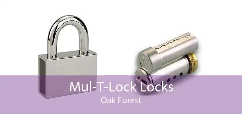 Mul-T-Lock Locks Oak Forest