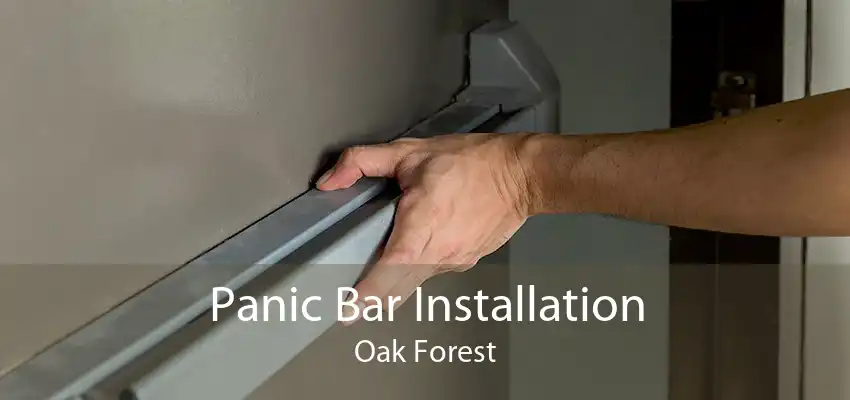 Panic Bar Installation Oak Forest