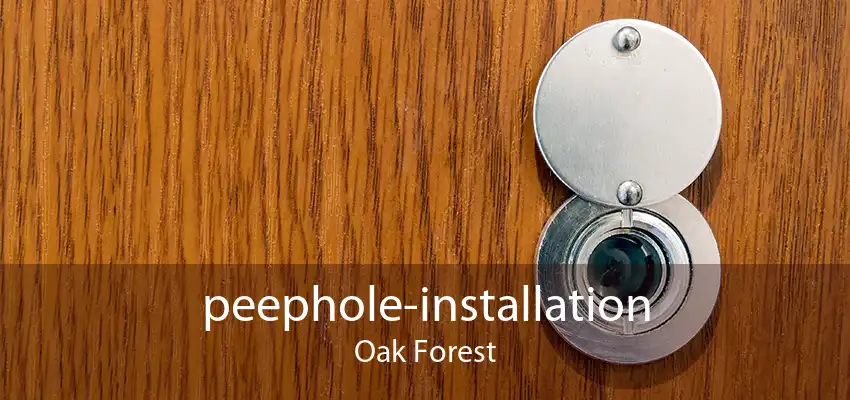 peephole-installation Oak Forest