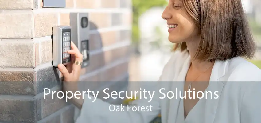 Property Security Solutions Oak Forest
