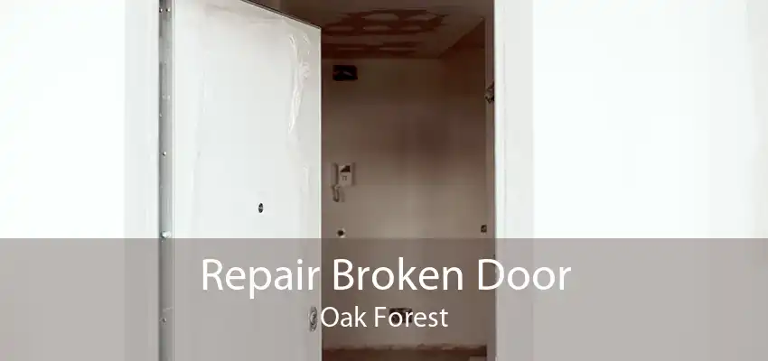Repair Broken Door Oak Forest