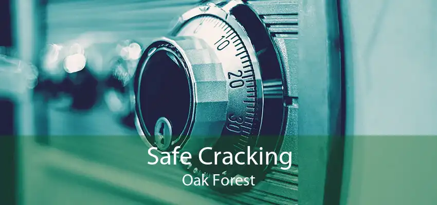 Safe Cracking Oak Forest