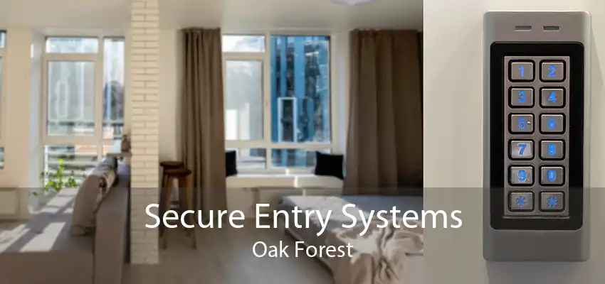 Secure Entry Systems Oak Forest
